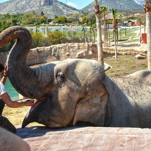 Veranstaltung: Terra Natura Benidorm, Terra Natura Benidorm in Benidorm