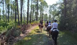 Veranstaltung: Amelia Island: Pumpkin Hill Guided Horse Ride, in Jacksonville