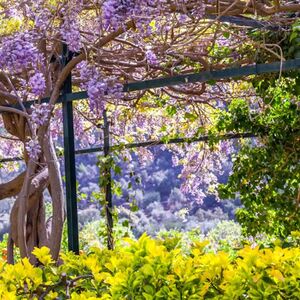 Veranstaltung: Jardines de Alfabia: Entrada sin colas, Jardines de Alfabia in Majorca