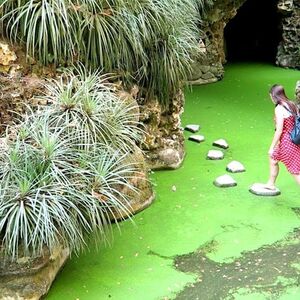 Veranstaltung: Sintra: Passeio a pé guiado pelas joias escondidas + Quinta da Regaleira (opcional), Quinta da Regaleira in Sintra