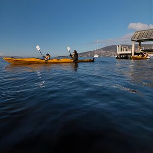 Veranstaltung: Hobart Kayak Tour, 14 Marieville Esplanade in Hobart