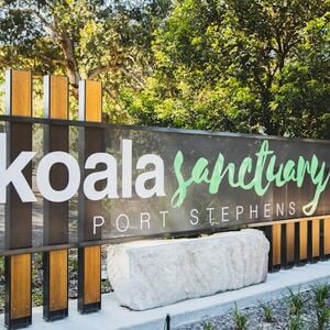 Veranstaltung: Port Stephens Koala Sanctuary, Port Stephens Koala Sanctuary in One Mile