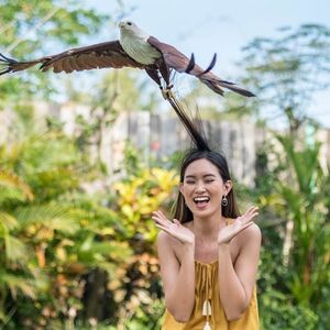 Veranstaltung: Bali Bird Park: Entry Ticket, Bali Bird Park in Bali