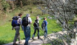 Veranstaltung: Geführte Wanderungen - Geführte Wanderung, Bahnhofsvorplatz in Radolfzell