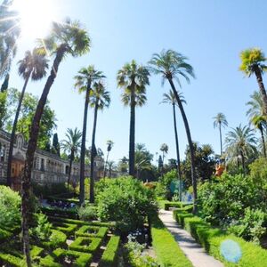 Veranstaltung: Catedral, Giralda y Alcázar de Sevilla: Entrada y Visita Guiada, Seville City Tours in Seville