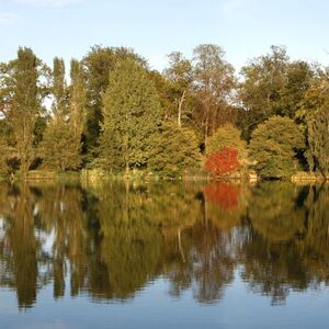 Veranstaltung: Arboretum de Versailles-Chèvreloup: Billet d'entrée, Arboretum de Chèvreloup in Rocquencourt