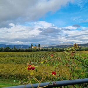 Veranstaltung: Lago di Garda: Degustazione di vini + Tour dei vigneti di Bardolino, Lake Garda Activities in Sirmione