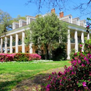 Veranstaltung: Oak Alley Plantation: Tour from New Orleans, Oak Alley Plantation in Vacherie