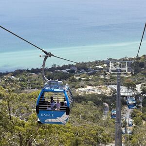 Veranstaltung: Mornington Peninsula: Day Tour + Gondola Ride + Lunch + Wine & Chocolate Tasting, Mornington Peninsula Day Trips from Melbourne in Melbourne