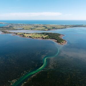 Veranstaltung: 25-Minute Helicopter Flight: Phillip Island Full Island, Melbourne Helicopter Tours in Melbourne