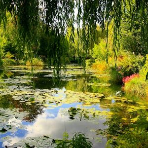 Veranstaltung: Jardins de Monet à Giverny : Visite guidée d'une demi-journée depuis Paris, Paris City Tours in Paris