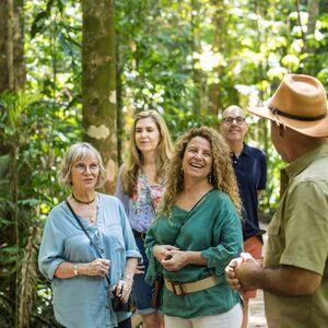 Veranstaltung: Daintree and Cape Tribulation Full-Day Tour, Day Trips from Cairns in Cairns