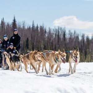 Veranstaltung: Dog Sledding Adventure in Willow, Alaska, 18408 W Reynolds Rd in Willow