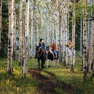 Veranstaltung: Valley Vista 1.5 Hour Horseback Trail Ride in Kananaskis, 2 Guinn's Rd in Kananaskis