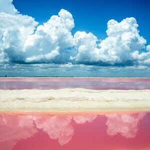 Veranstaltung: Las Coloradas: Visita Guiada, Traslado + Almuerzo, Day Trips from Riviera Maya in Playa del Carmen