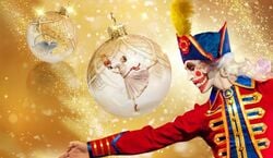 Event: Casse-Noisette, Brugge in bruges