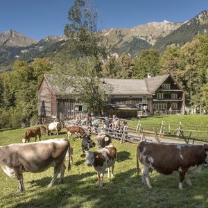 Veranstaltung: Open-Air Museum Ballenberg: Skip The Line Ticket, Open-Air Museum Ballenberg in Hofstetten bei Brienz