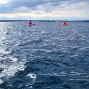 Veranstaltung: Alquiler de kayak en la bahía de Palma, Kayak Rentals Mallorca in Can Pastilla