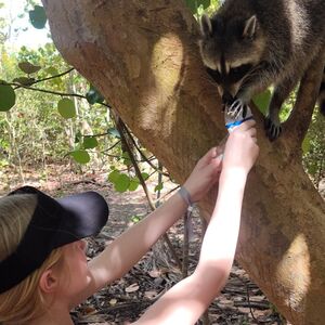 Veranstaltung: Biscayne Bay & Raccoon Island: SUP / Kayak Adventure, Miami Water Activities in Miami