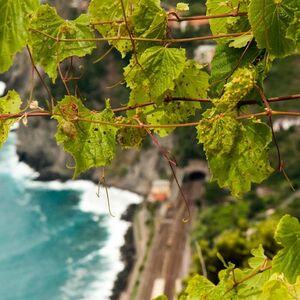 Veranstaltung: Cinque Terre: Gita di un giorno semi-privata da Firenze + pranzo a base di pesce, Day Trips from Florence in Florence