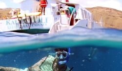 Veranstaltung: Oahu: Afternoon Dolphin Watch & Snorkel Cruise, Hawaii Cruises & Boat Tours in Honolulu