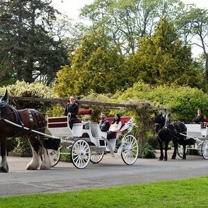 Veranstaltung: Beacon Hill Park Horse-Drawn Carriage Tour of Victoria, 469 Belleville St. in Victoria