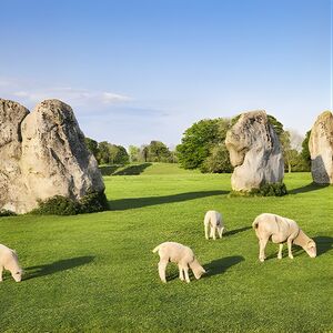 Veranstaltung: Bath, Avebury and Lacock Village Small-Group Day Tour from London, Green Line Coach Station in London