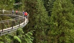 Event: Vancouver: Guided Tour + Capilano Suspension Bridge Park Visit + Lunch, vancouver in Vancouver