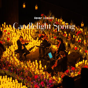 Veranstaltung: Candlelight Spring: tributo ai Coldplay, Salone Bernini a Palazzo Ripetta in Rome