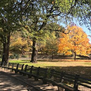 Veranstaltung: New York: Mount Morris Park Historic Walking Tour, New York in new york city