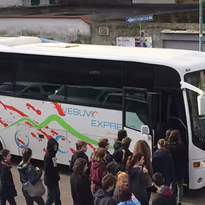 Veranstaltung: Vesuvio: Biglietto salta-coda + Viaggio da Napoli con il Vesuvio Express, Mount Vesuvius in Ercolano