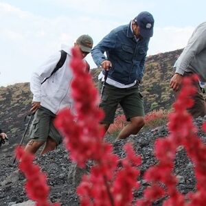 Veranstaltung: Escursione sull'Etna - Trasporto da Catania, Mount Etna in Nicolosi