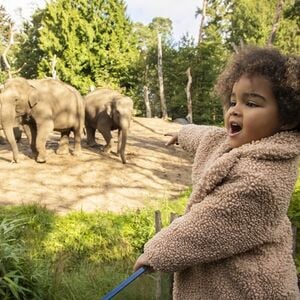 Veranstaltung: Amersfoort Zoo: Entry Ticket, Amersfoort Zoo in Amersfoort