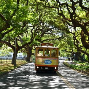 Veranstaltung: Waikiki Trolley, Tourneau The Royal Hawaiian in Honolulu