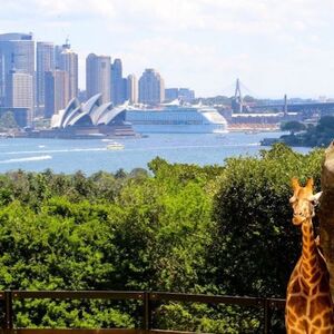 Veranstaltung: Taronga Zoo Sydney: Entry Ticket, Taronga Zoo Sydney in Mosman