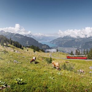 Veranstaltung: Grindelwald Terminal: Roundtrip Train Ride from / to Jungfraujoch, Day Trips From Grindelwald in Grindelwald