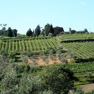 Veranstaltung: Tempio del Brunello e degustazione di vini, Brunello Temple in Montalcino