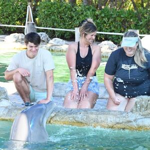 Veranstaltung: Miami Seaquarium: Meet A Dolphin + Park Admission, Miami Seaquarium in Miami