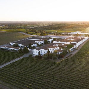 Veranstaltung: João Portugal Ramos: visita às vinhas e adega com prova premium, Adega João Portugal Ramos in Lisbon