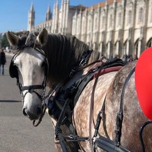 Veranstaltung: Lisboa: Passeio de carruagem puxada por cavalos em Belém, Lisbon Tuk Tuk Tours in Lisbon