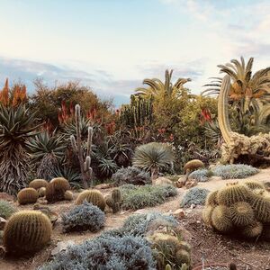 Veranstaltung: Jardín botánico Marimurtra: Entrada, Marimurtra Botanical Garden in Blanes