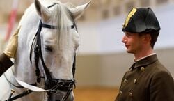 Veranstaltung: Horse Training at the Spanish Riding School, Spanish Riding School in Vienna