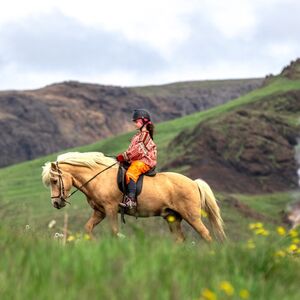 Veranstaltung: Iceland: Horseback Riding - Hot Springs Tour, Ölfus Outdoor Activities in Ölfus