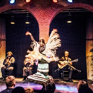 Veranstaltung: Museo del Baile Flamenco: Solo el espectáculo, Museo del Baile Flamenco in Seville