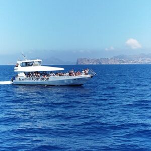 Veranstaltung: Palma de Mallorca: Excursión de 3 horas en barco para avistar delfines + baño y snorkel, Mallorca Boat Trips in Palma de Mallorca