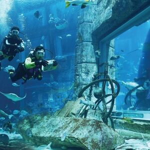 Veranstaltung: Dubai Aquarium & Underwater Zoo: All-Access Pass, Dubai Aquarium & Underwater Zoo in Dubai