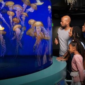 Veranstaltung: Aquarium of the Pacific: Skip The Line Ticket, Aquarium of the Pacific in Long Beach