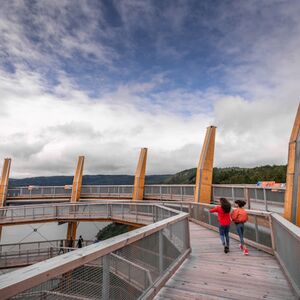 Veranstaltung: Guided Vancouver Island Tour with Malahat SkyWalk Admission, Malahat SkyWalk in Vancouver