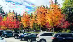 Veranstaltung: Boston: Fall Foliage Tour, in Boston