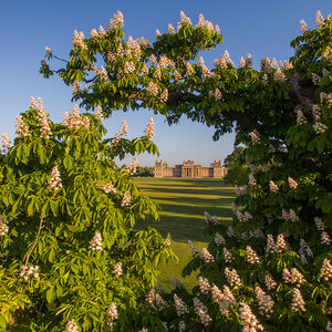 Veranstaltung: Echoes of Blenheim Palace: An Immersive Storytelling Adventure, Blenheim Palace in Woodstock